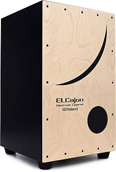 Roland Electronic Layered Cajon (EC-10) : Amazon.ca: Musical